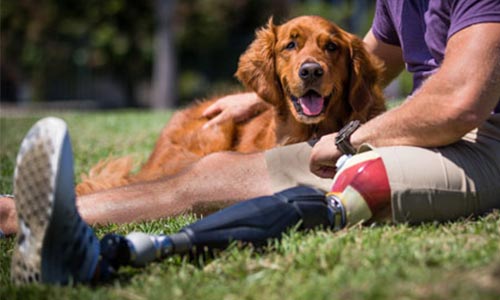 Valor Service Dog and Wounded Veteran