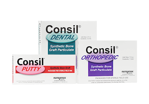 Consil® Synthetic Bone Graft